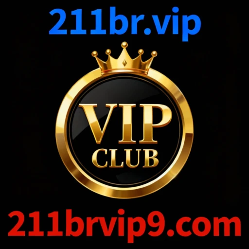 211br.vip logo